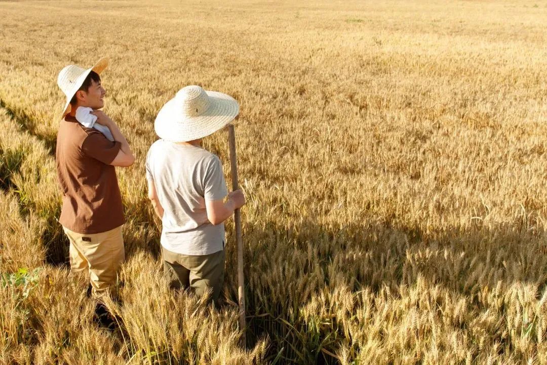 1100万人选择返乡，，，怎样助力他们做事创业？？