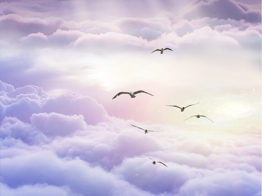 九州ku酷游·(中国)官方网站