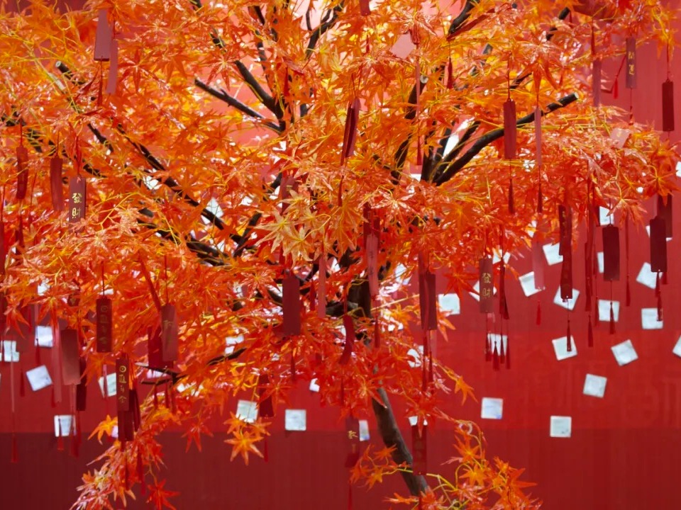 九州ku酷游·(中国)官方网站