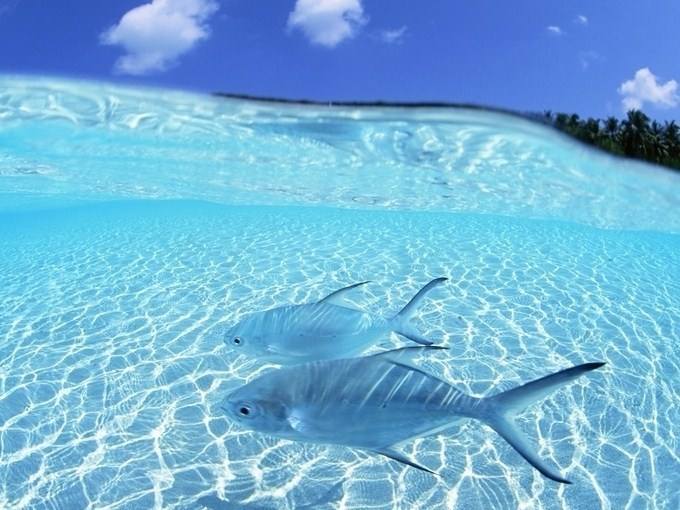 九州ku酷游·(中国)官方网站