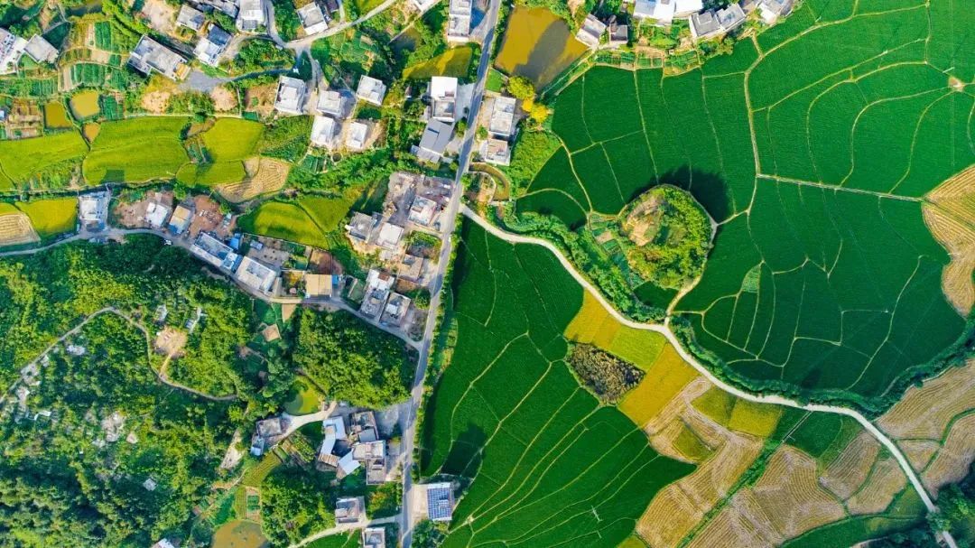 266169D7C9B63F07055C7050FF3_79517202_2E78B