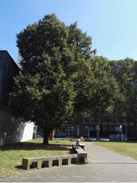 4436A4B7C85A5642618A69748A7_E14B6A7D_67D41