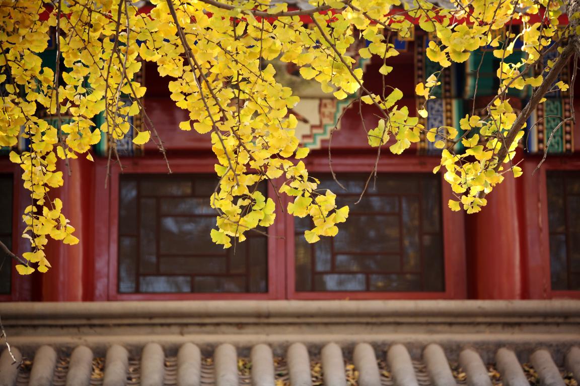 感动 | 确认过眼神，，你是对的人