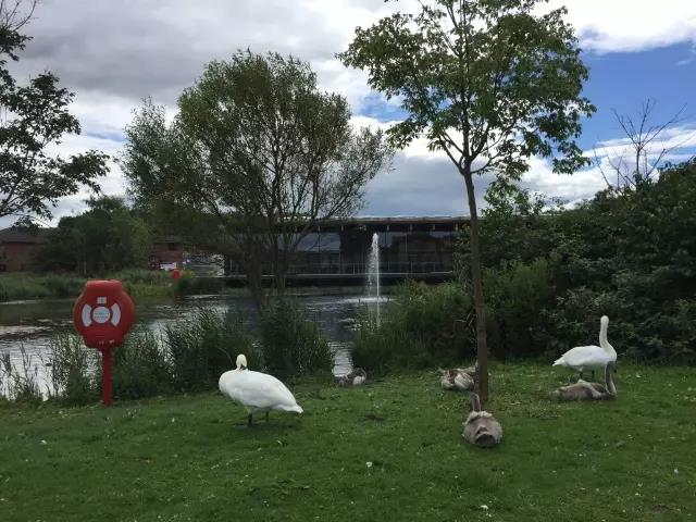九州ku酷游·(中国)官方网站