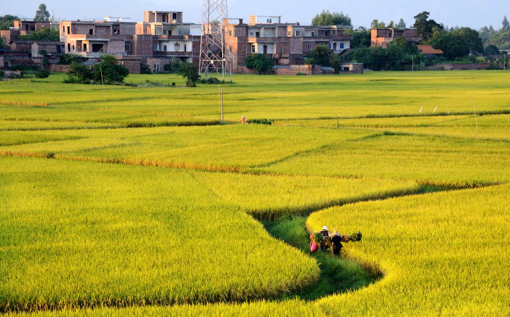 EBD9BD69282B5B139557DBE3A01_7A73A57B_265C5