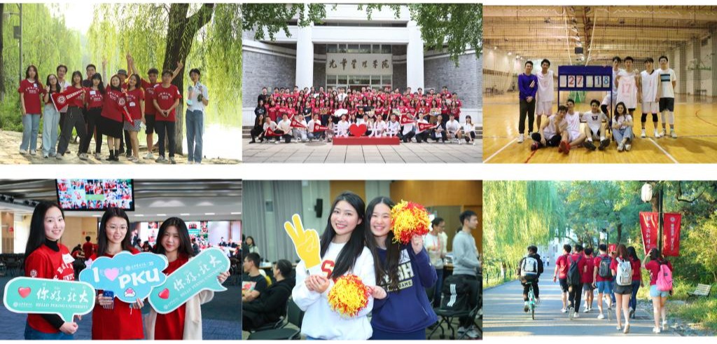 4D065E46A17927AE0D8D1C21887_F1E0A1A3_306F8