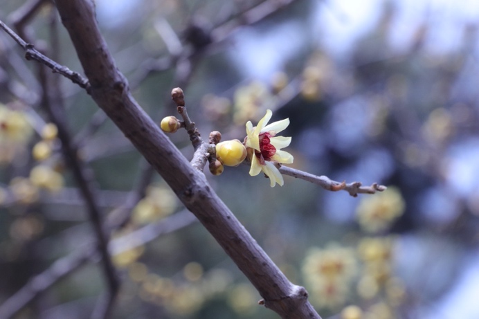 九州ku酷游·(中国)官方网站