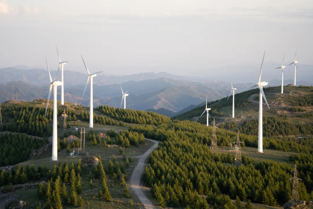 18809CDE66BAFF68589EE46798A_3EE551D3_2B437