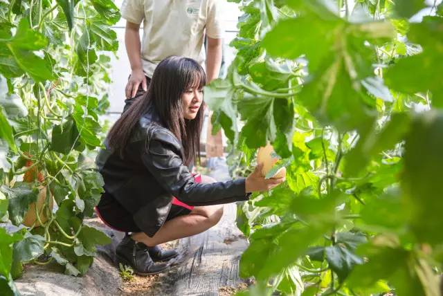 九州ku酷游·(中国)官方网站