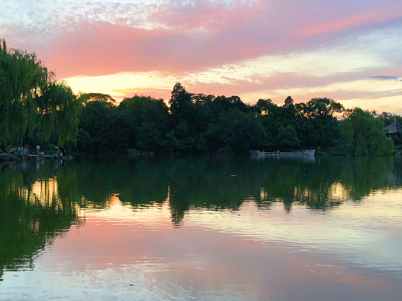 43F379DE81BF8AF8B823F82D172_23A72DC3_783CD.jpg?e=