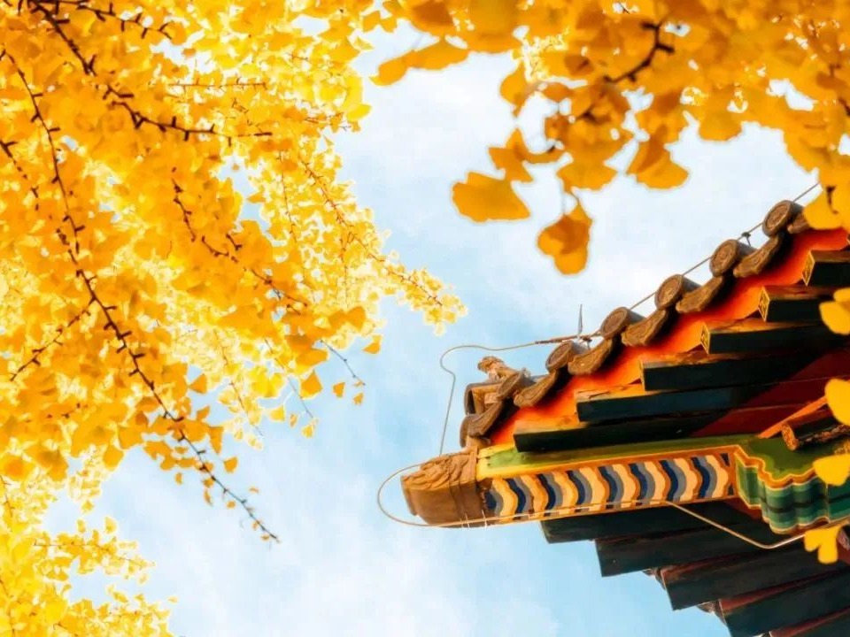 九州ku酷游·(中国)官方网站