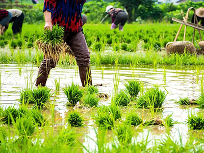 九州ku酷游·(中国)官方网站