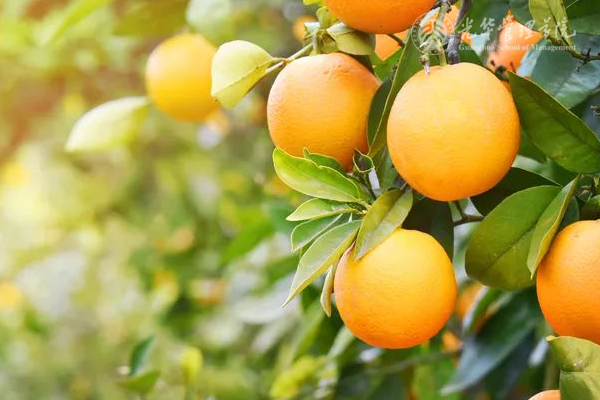 九州ku酷游·(中国)官方网站