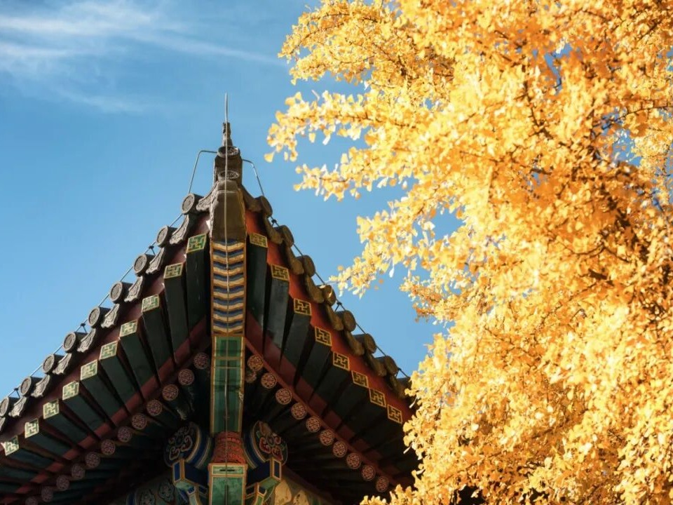 九州ku酷游·(中国)官方网站