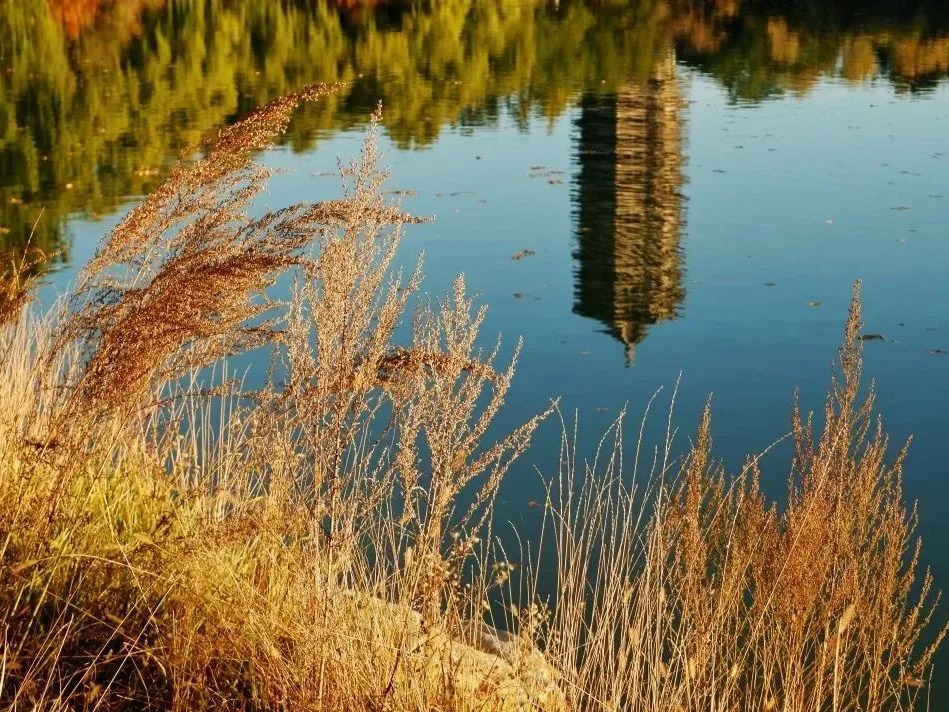 九州ku酷游·(中国)官方网站