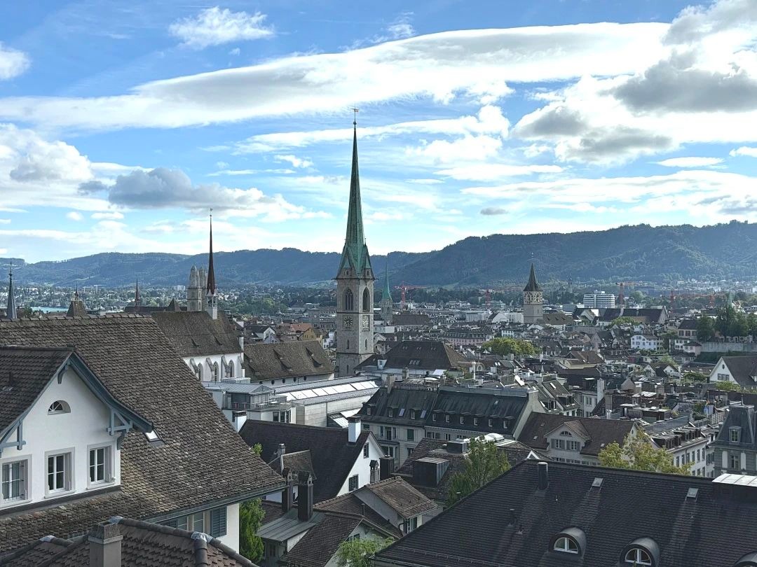 陶醉于湖光与山色，，，叹止于财产与立异|MBA国际商务方略@苏黎世