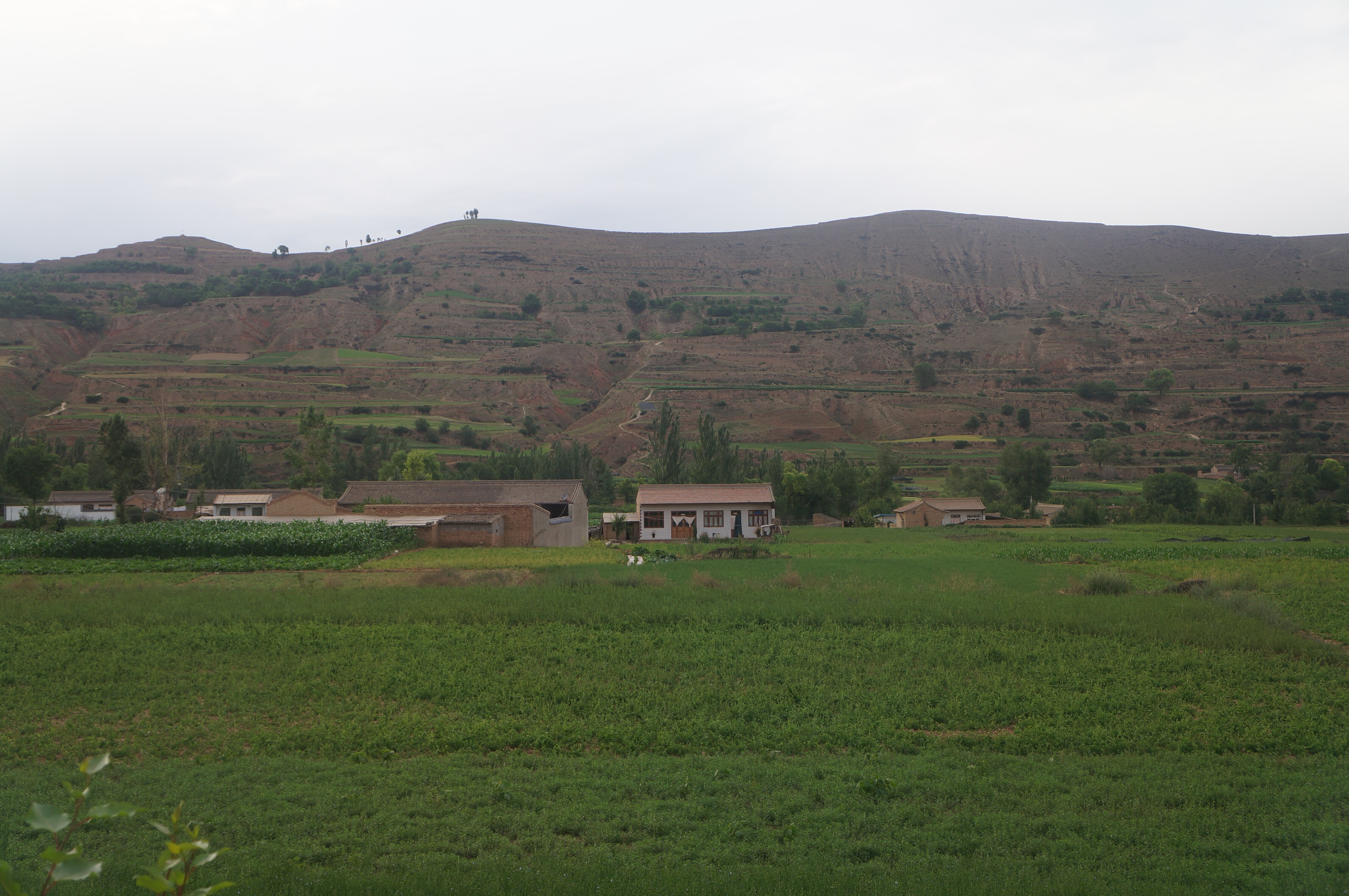 九州ku酷游·(中国)官方网站