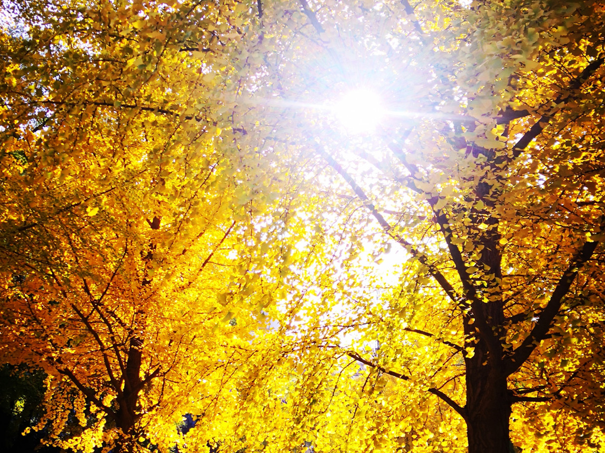  MPAcc分享会干货满满 | 尊重经济实质，，，，，回归会计初志 