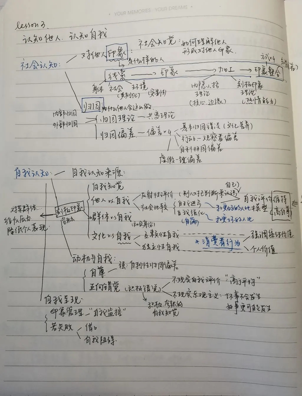 6BA423F0A8E259EB328E18E6248_C4633539_8A0AD