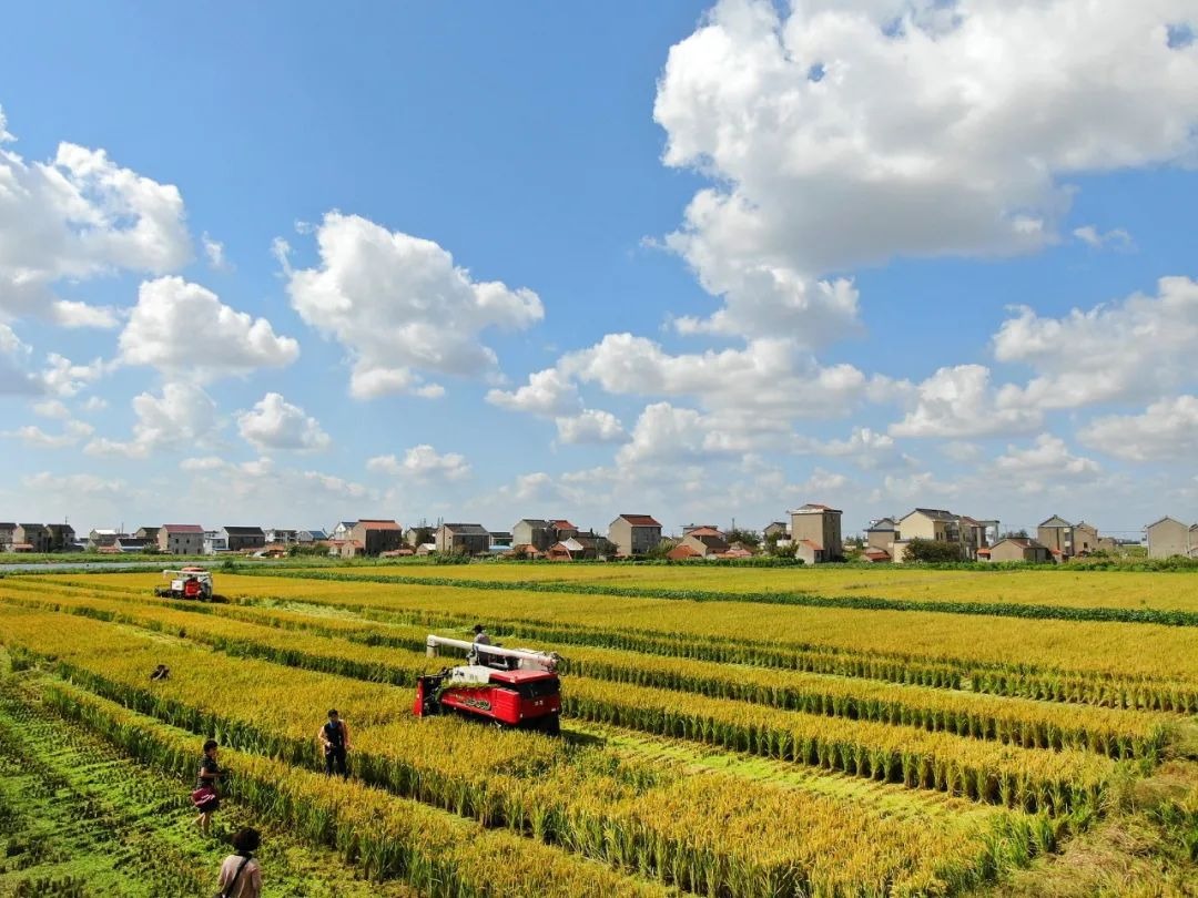 九州ku酷游·(中国)官方网站