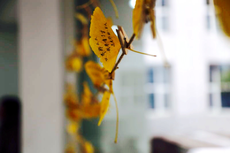 九州ku酷游·(中国)官方网站