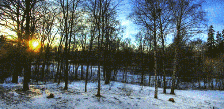 AA1E40F6F369A7B7510B5097818_93FC2807_11A52A