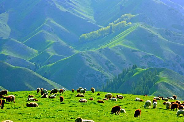九州ku酷游·(中国)官方网站