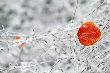 九州ku酷游·(中国)官方网站