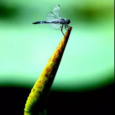 九州ku酷游·(中国)官方网站