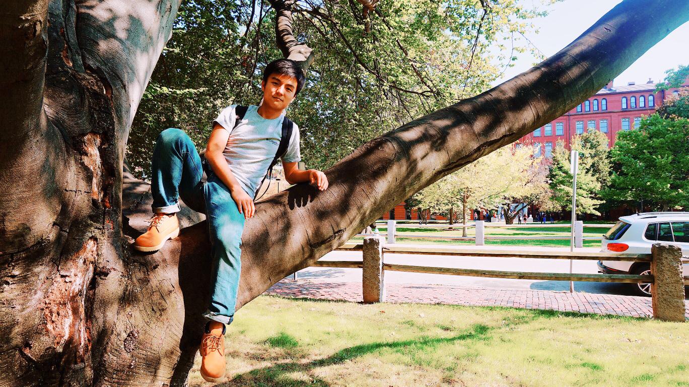 EAB19A8D484318FF49A1D9C26AB_62A11BF9_584C4