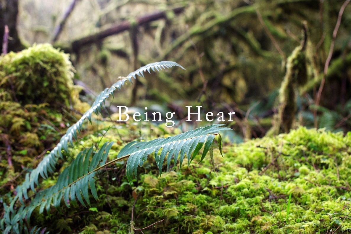 九州ku酷游·(中国)官方网站