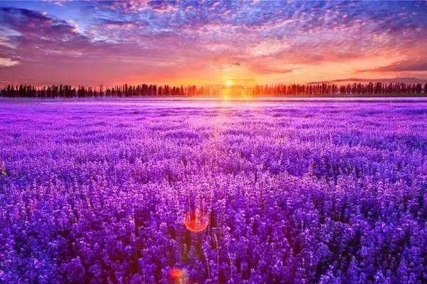 九州ku酷游·(中国)官方网站