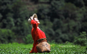 九州ku酷游·(中国)官方网站