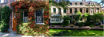 7195E79AA0645C22ECE0C04154F_9741CDAB_267F6