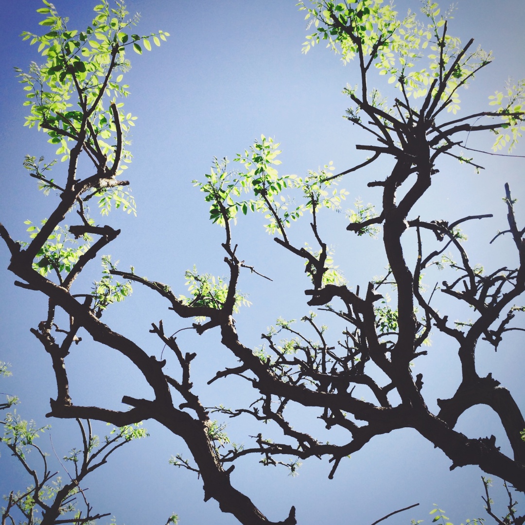 EC53DC11EF85B8E714A3CEF66BD_D18CBBE3_6F545.jpg?e=