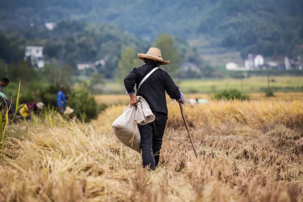 雷 明：人类历史上最伟大的故事之一，，，，，，我们该怎样讲述？？？？