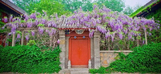 FB6B508B4D114AABF42E2C35C0B_848CCBDF_19F0E