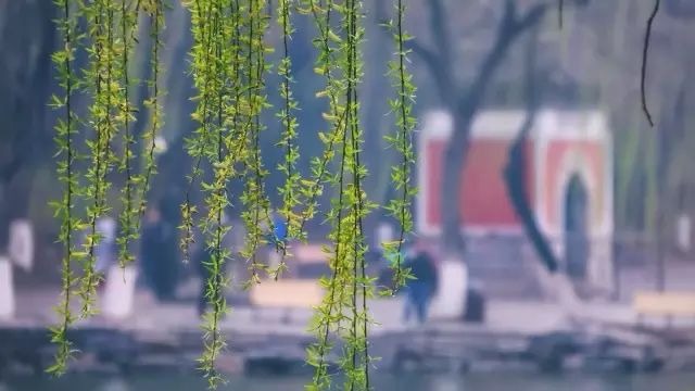 九州ku酷游·(中国)官方网站