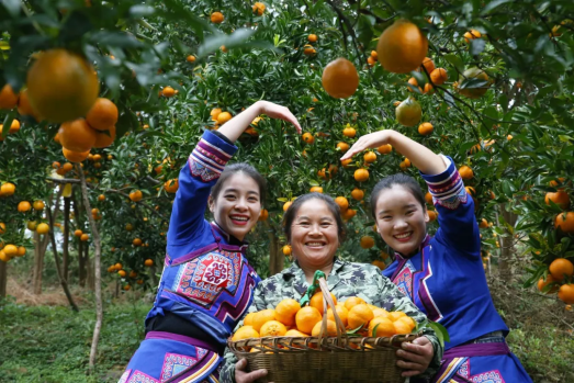 83EB180E6DE4730921A185F4557_372C265E_B2A47