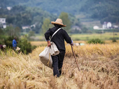 九州ku酷游·(中国)官方网站