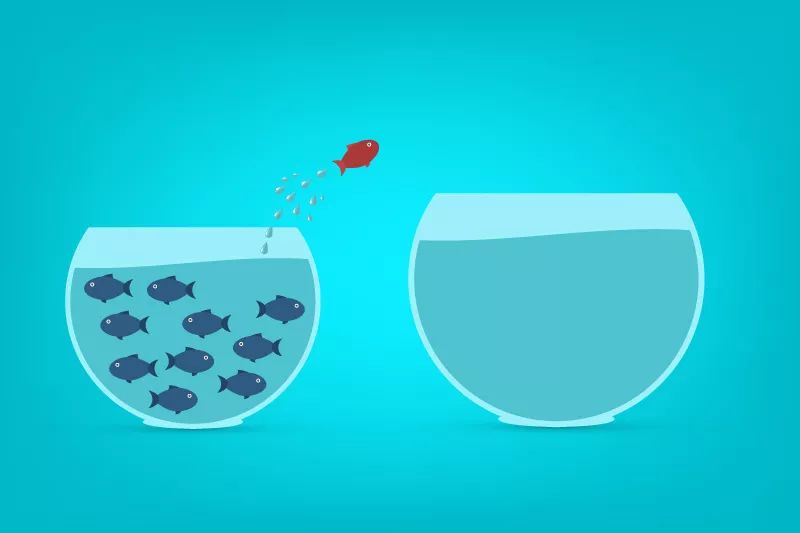 九州ku酷游·(中国)官方网站