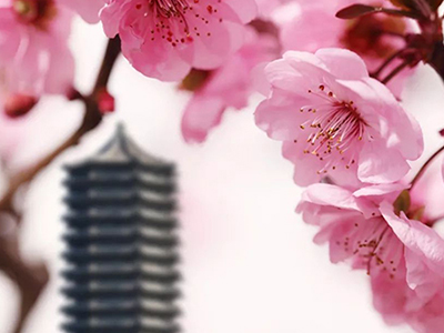 九州ku酷游·(中国)官方网站